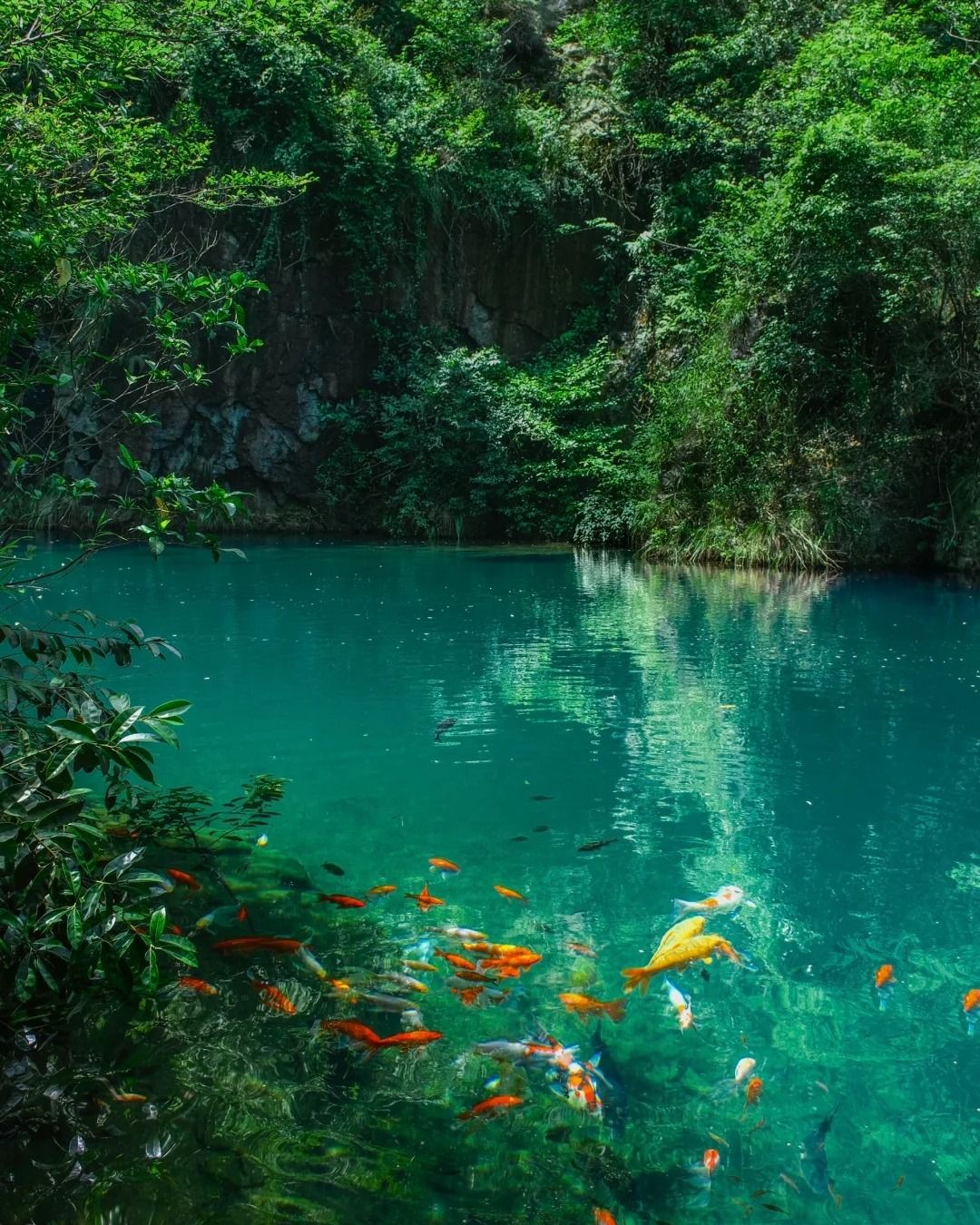 Discover Zhejiang