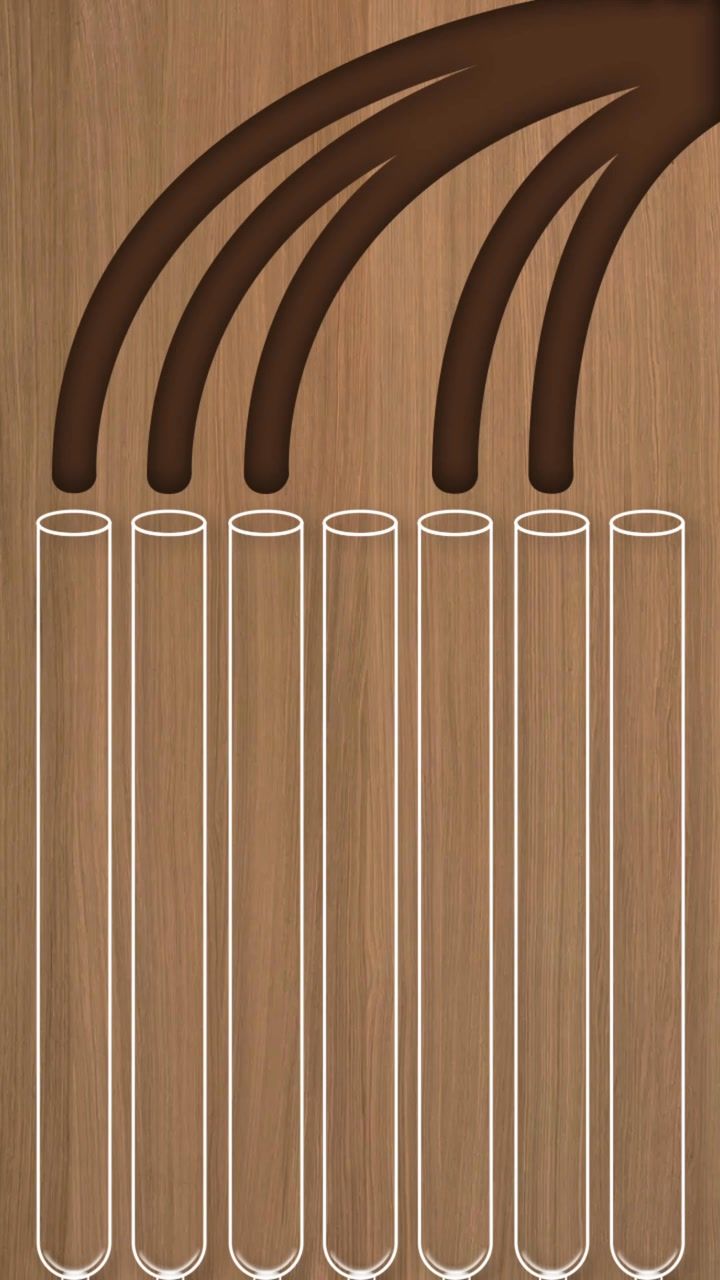 Ball Sort Puzzle