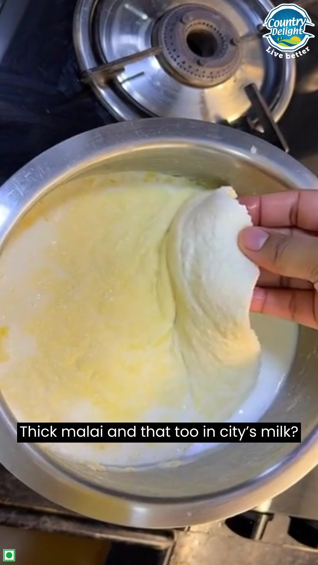 Thick Creamy Cow Milk