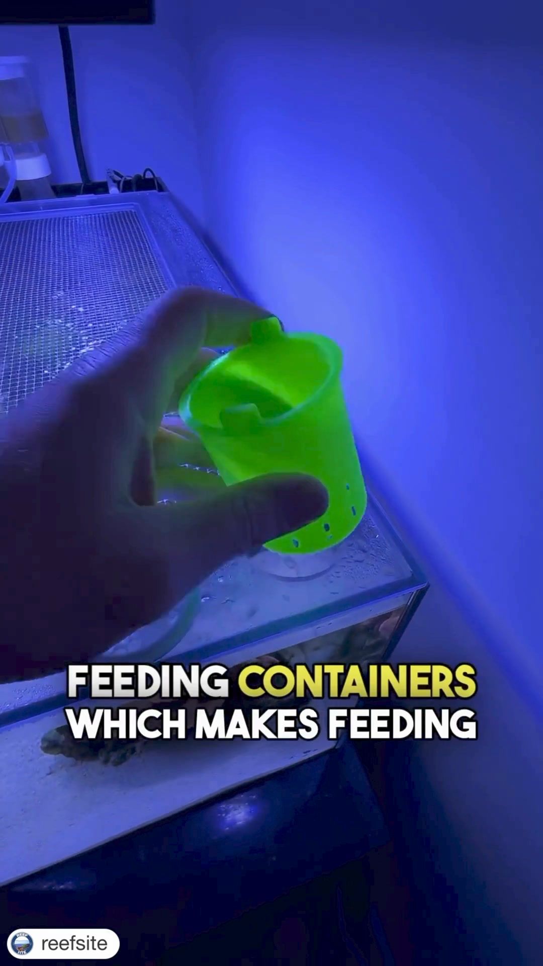 Safeguard Your Aquatic World