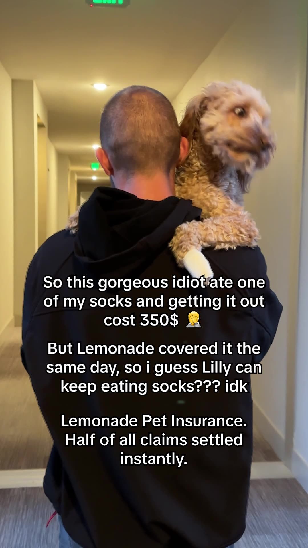 Lemonade Pet Insurance