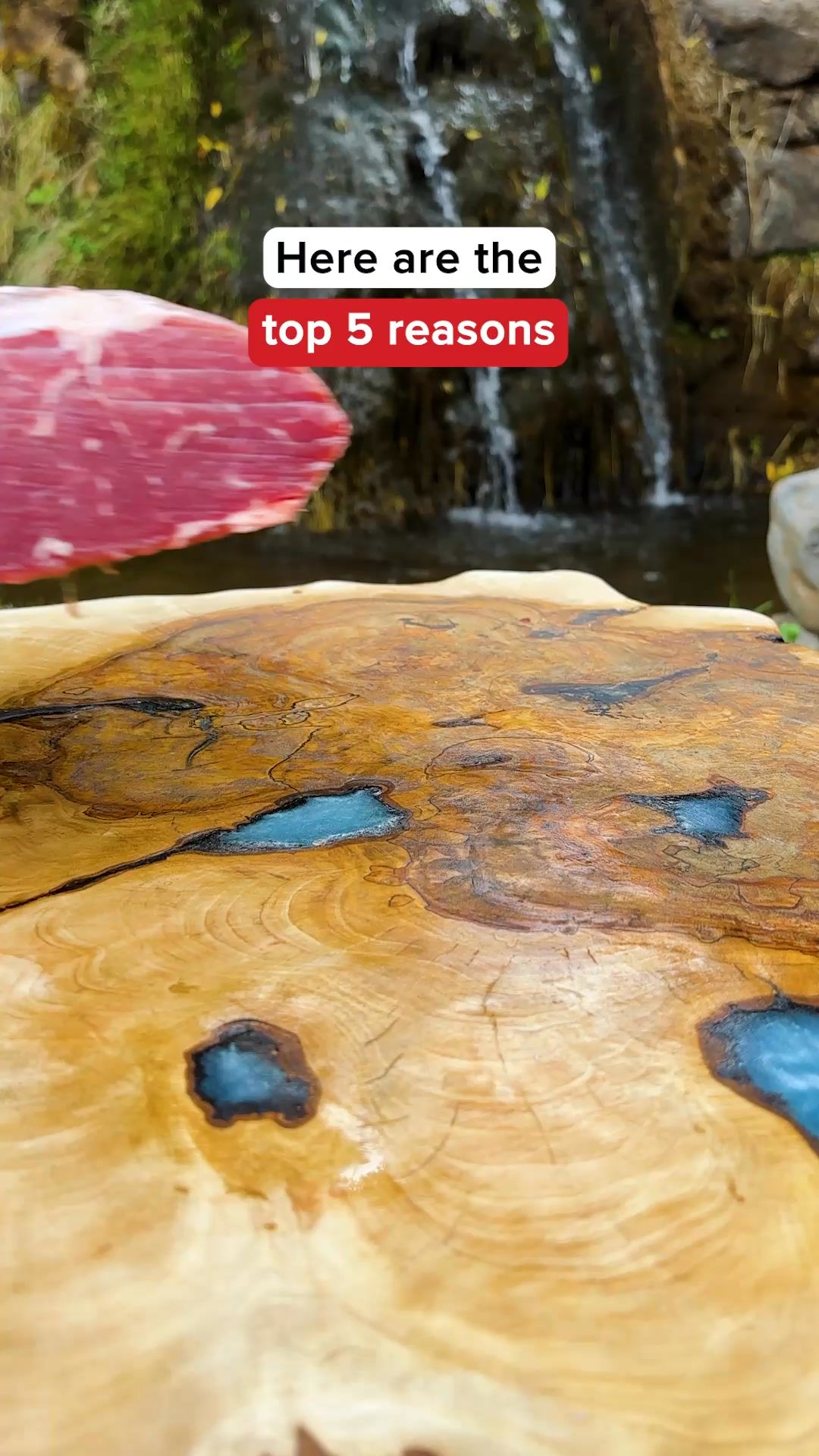 Keep Your Food Fresh 5x Longer